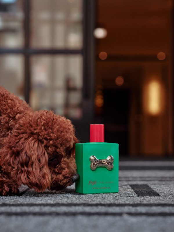 The Mark x Dolce & Gabbana Fefé - Image 3